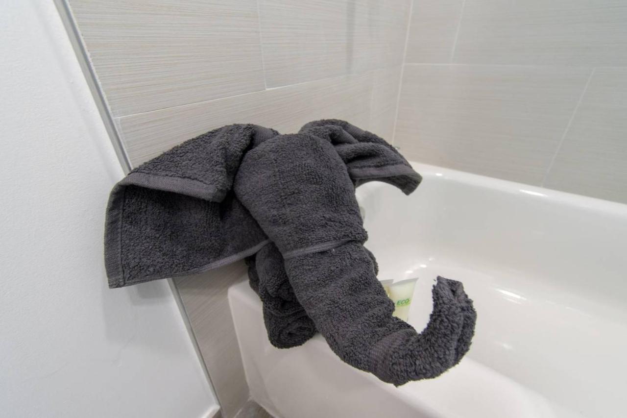 Newly Renovated 1 Bedroom Apt Designer Unit # 3 Dania Beach Zewnętrze zdjęcie